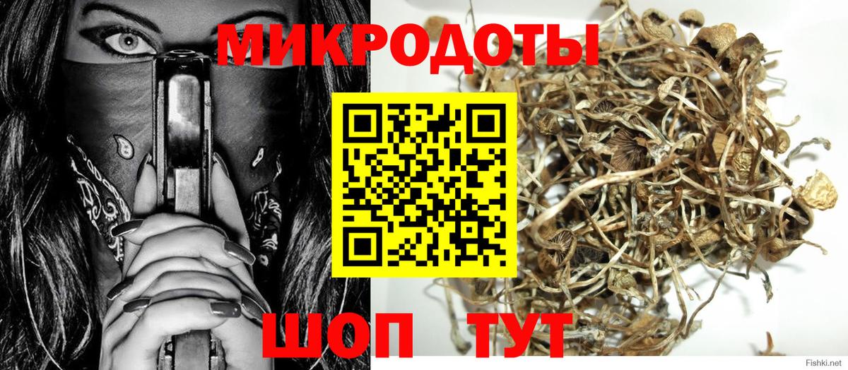 Псилоцибиновые грибы мицелий Свободный