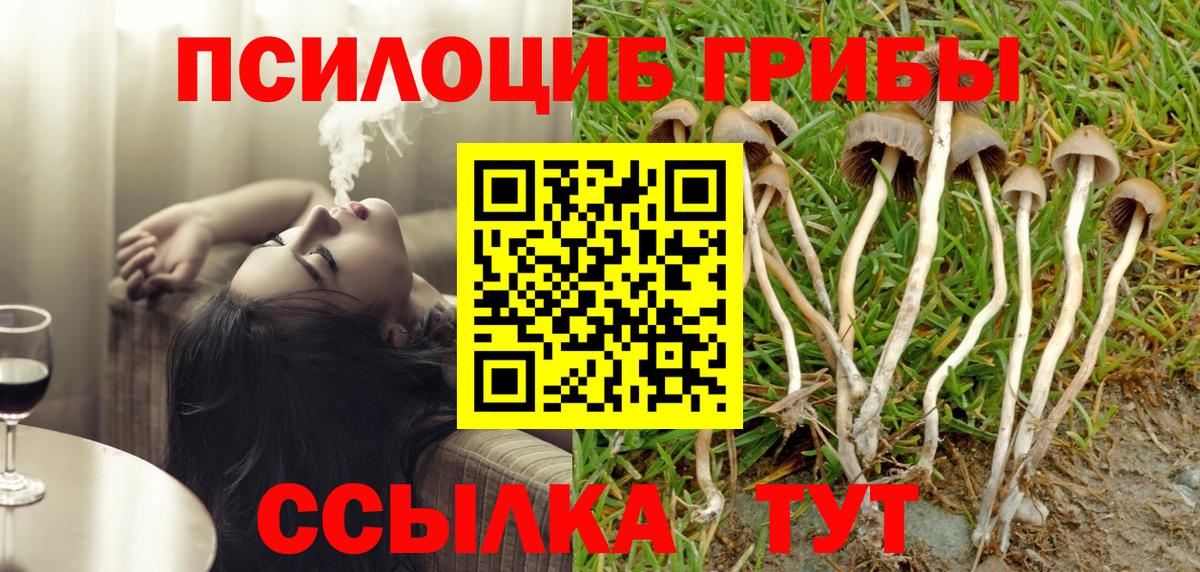 Свободный  Галлюциногенные грибы Magic Shrooms  Псилоцибиновые грибы Psilocybe  Вход с VPN 
